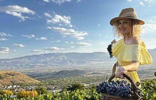 İki asırlık bağlarda bereket: Üzümlü’de Cimin...