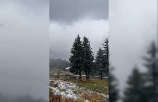 Ilgaz Dağı’nda kar yağışı etkili oluyor