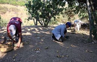 İncir üreticisi Aydın Ziraat Odası Başkanı Kendirlioğlu’na...