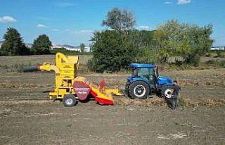 İnegöl’ün cerrah kuru fasulyesinde hasat zamanı