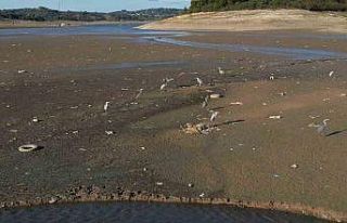 İstanbul’da barajlar alarm veriyor: Son 10 yılın...