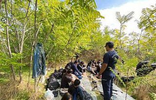 İzmir açıklarında 66 düzensiz göçmen yakalandı,...