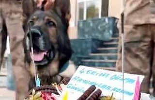Jandarmadan ‘can dostlara’ özel kutlama