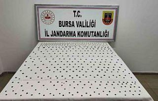 Jandarma’dan İznik’te tarihi operasyon