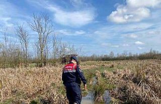 Kaçak avcılıkta kullanılan 6 avcı kulübesi imha...