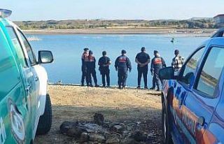 Kaçak avlanan 1 ton sazan balığı tekrar ırmağa...