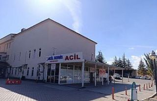 Kahramanmaraş’ta arının soktuğu çocuk hayatını...