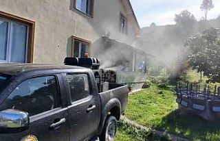 Kahverengi kokarca ile mücadele sürüyor