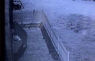 Kapıyı hırsız zorluyor sandı, gerçek güvenlik...