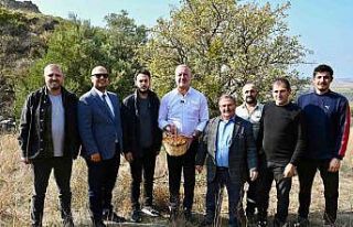 Karacabey Belediyesi, ’Alıç Meyvesi’ni dünya...