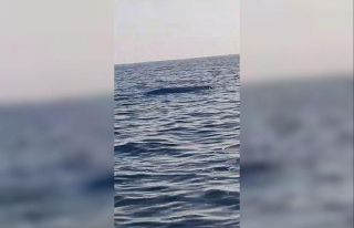 Karadeniz kıyılarında bir insansız deniz aracı...