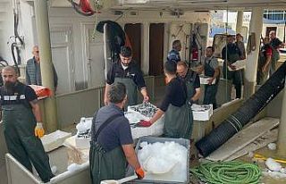 Karadeniz’den kasalarca hamsi çıktı
