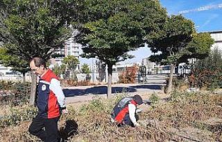 Karadeniz’in korkulu rüyası Sivas’ta görüldü