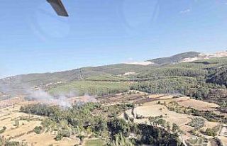 Kavaklıdere-Bozdoğan sınırındaki yangını kısa...