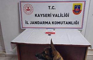 Kayseri’de uyuşturucu operasyonu