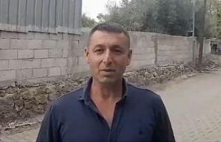 Kediye kalp masajı yaptı, hayata döndürdü