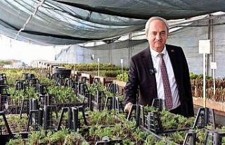 Kepez’den kurakçıl peyzaj hamlesi