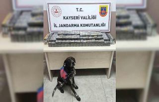 Kimlik kontrolü için durdurulan 2 tırdan 560 paket...