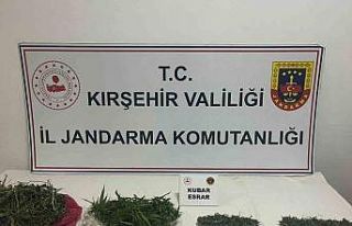 Kırşehir’de uyuşturucu operasyonu: 4 tutuklama