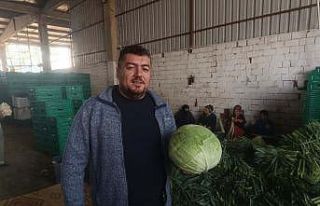 Kışlık ürünlerde hasat başladı