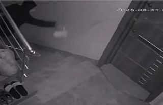 Komşularını canından bezdirdi