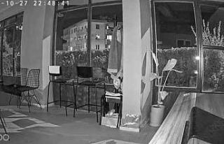 Korkutan şimşeğin ardından deprem meydana geldi