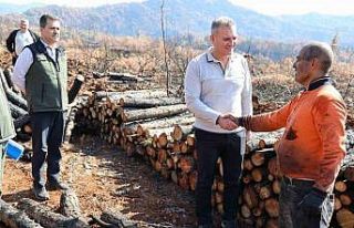 Köyceğiz’de yanan sahalar fidan dikimi için hazırlanıyor