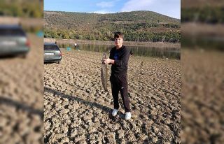 Kuruyan gölde yayın avı