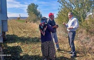 Kütahya’da arazi ve parsel beyan kontrolleri sürüyor