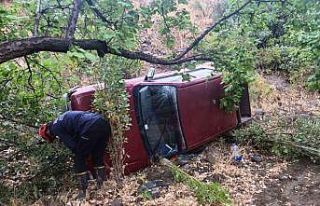 Malatya’da virajı alamayan pikap şarampole uçtu:...