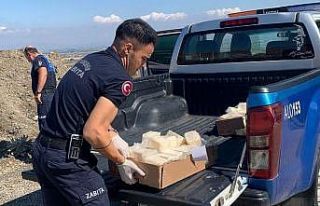 Manisa’da 49 kilo bozuk peynir imha edildi