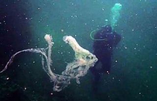 Marmara’da mercanlara müsilaj tehdidi