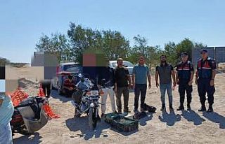 Mersin’de kaçak yırtıcı kuş avcılığı yapan...