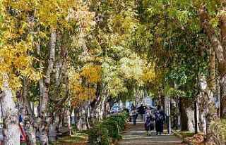 Meteorolojiden kuvvetli rüzgar ve kar uyarısı