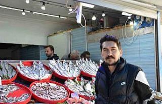 Mevsiminin en lezzetli balıkları hamsi ve sardalya