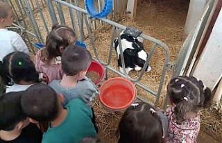 Minik öğrenciler tarımla buluştu