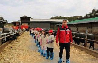 Minikler tarımı yerinde öğrendi