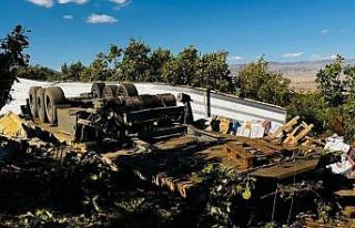 Muş’ta freni boşalan tır kaza yaptı: 1 yaralı