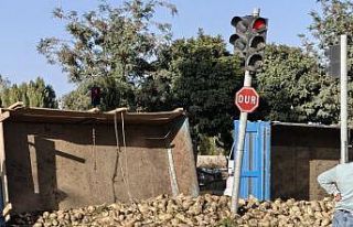 Muş’ta şeker pancarı yüklü traktör devrildi