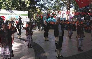 Mut Zeytin ve Zeytinyağı Festivali başladı
