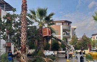 Nazilli Belediyesi’nden 12 mahallede eş zamanlı...