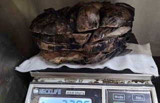 Nefes darlığı şikayeti ile hastaneye gitti, göğsünden...