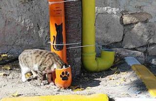 Öğrenciler hem çevre bilincini hem hayvan sevgisini...