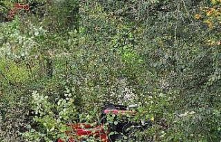 Ordu’da traktör devrildi: 1 ölü