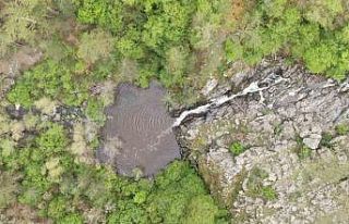 Ormanın içerisindeki şelale görenleri mest ediyor