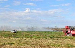 Otluk alanda çıkan yangın söndürüldü