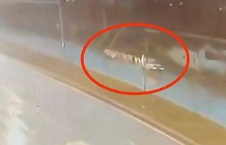 Otomobilin çobana ve sürüye çarpma anı kameraya...