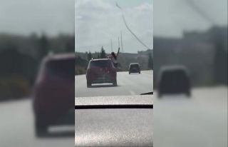 Otoyolda seyir halindeki cipte tehlikeli yolculuk