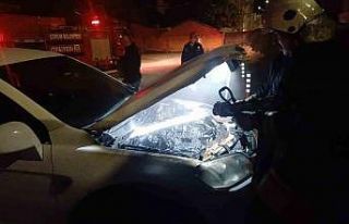 Park halindeki cipi küle dönmekten itfaiye kurtardı