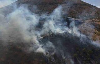 Patlıcan közlerken ormanı yaktılar